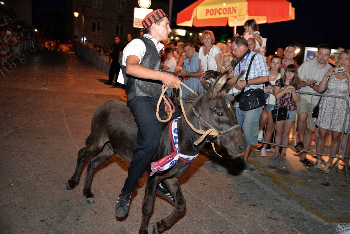 Magarac Miško na utrci u Tribunju 1. kolovoza (Foto: Igor Turčinov)