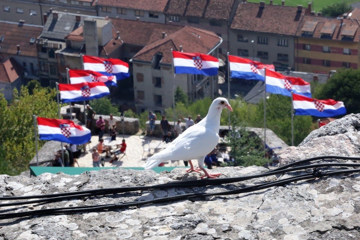 Ilustracija - kninska tvrđava 5. kolovoza 2017. (Foto: Hrvoslav Pavić/Tris.com.hr)