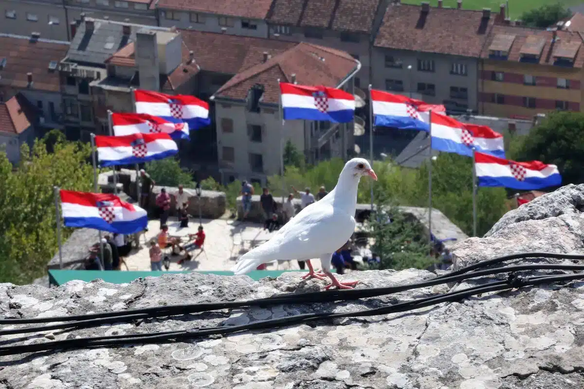 Featured image for “Poziv dragovoljcima i veteranima s područja Općine Tisno”