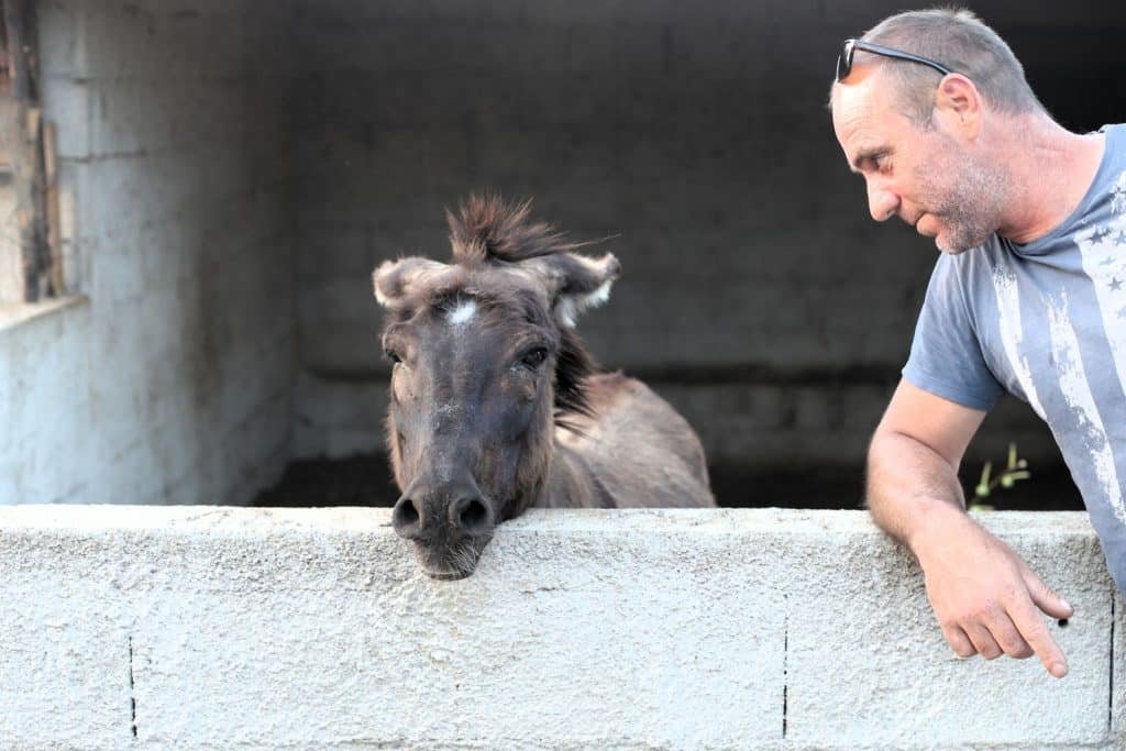 Miško i Deva (Foto: Rudinapress/H. Pavić)