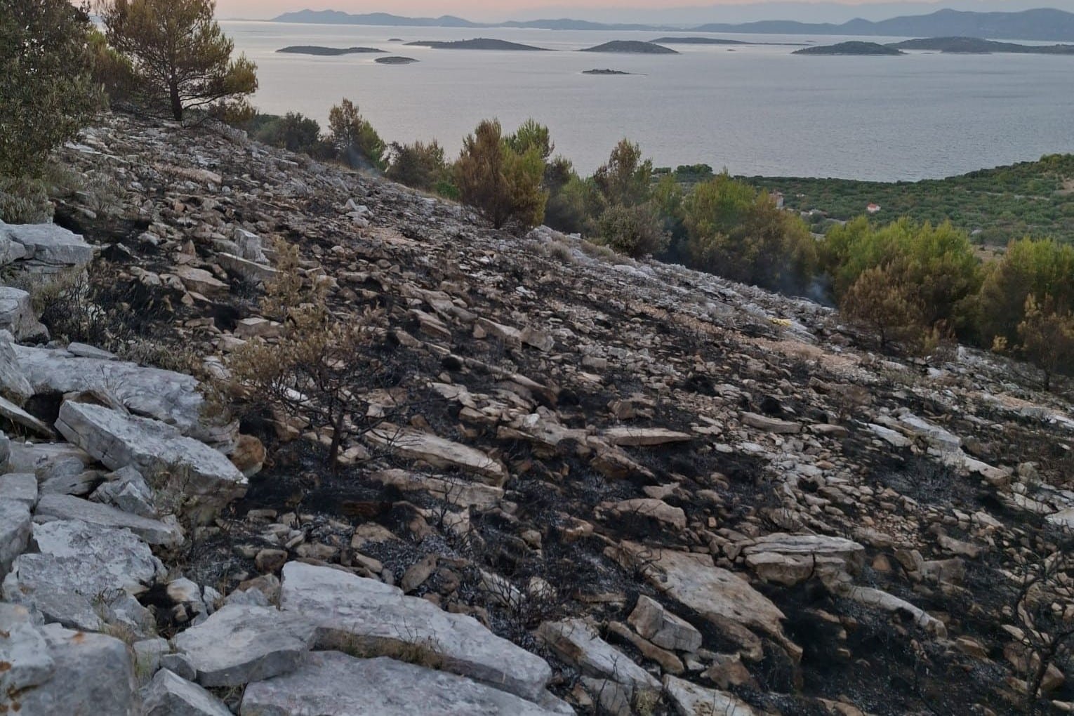 Featured image for “Požar na Žutu u subotu u 6.37 proglašen je ugašenim  – izgorjelo šest hektara trave i niskog raslinja”